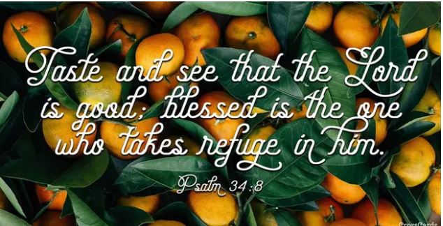 OH TASTE AND SEE,THAT THE LORD IS GOOD ! PSALM 34:8